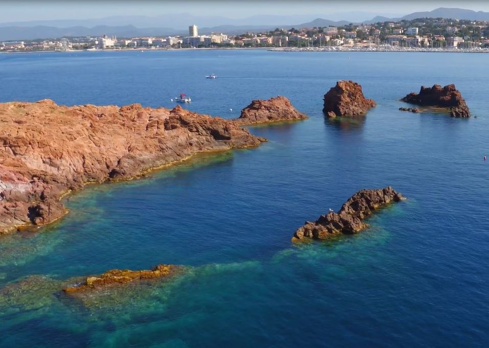 Lion de Mer Saint Raphaël (83)